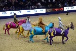 Quadrille - 00572